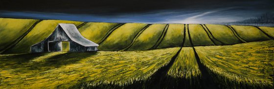 Barn in the  Canola  Fields - Fields and Colors Series