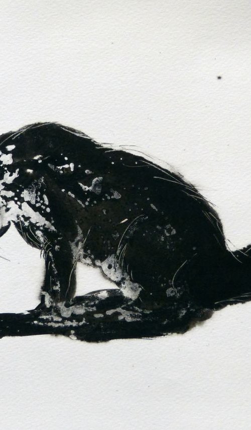 The Black Cat 1, ink drawing 29x42 cm by Frederic Belaubre