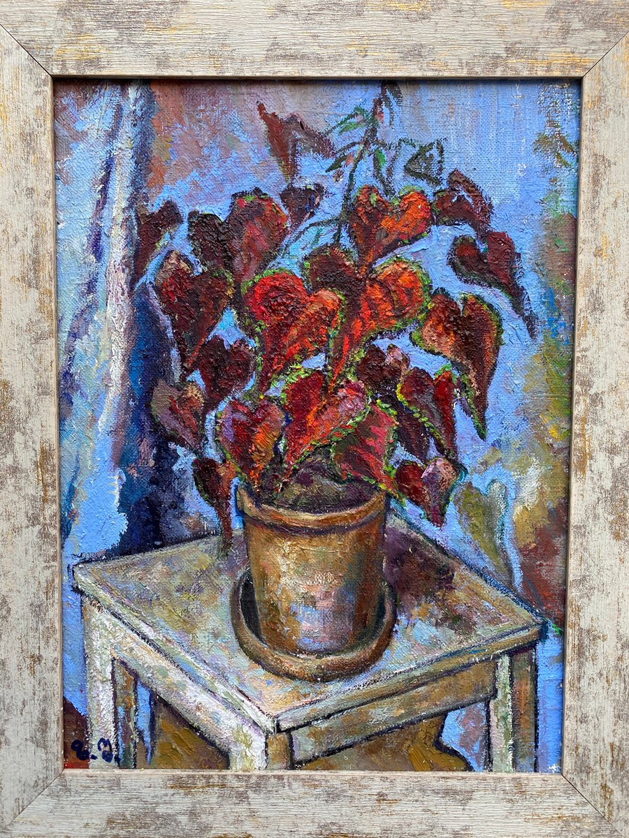 Romantic Still Life with Begonia in a Pot in Blue Frame by Zurab Sharvadze