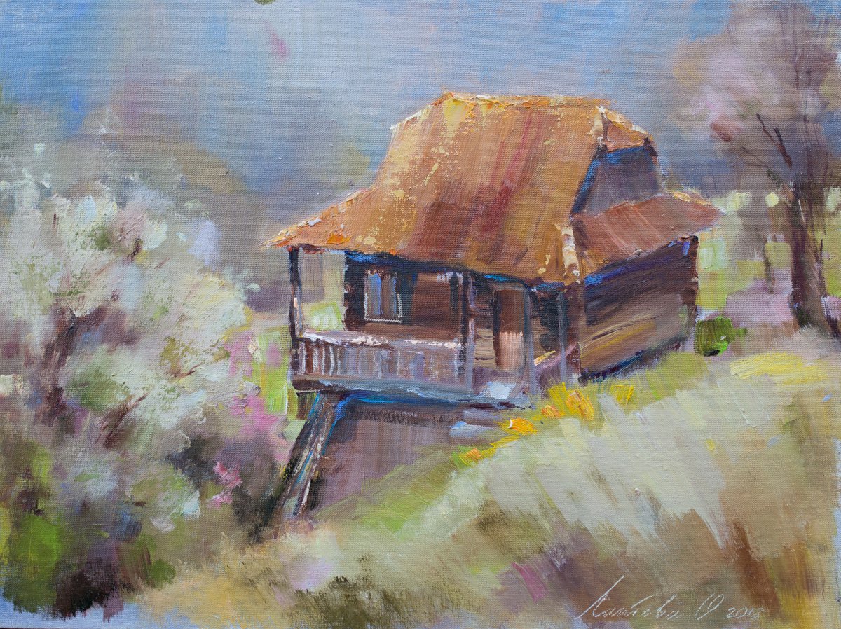 House in the mountains by Olha Laptieva