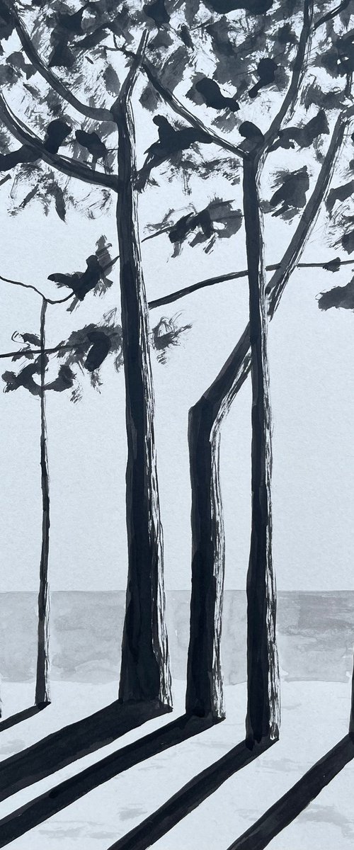 Cap Coz avenue by Cadiou Frederic