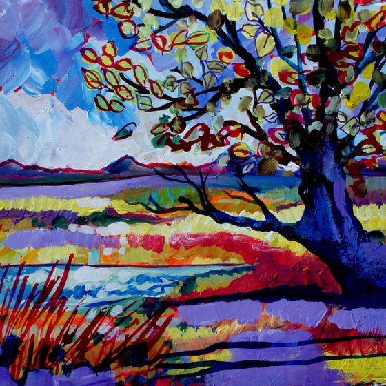 Old Tree by the Water