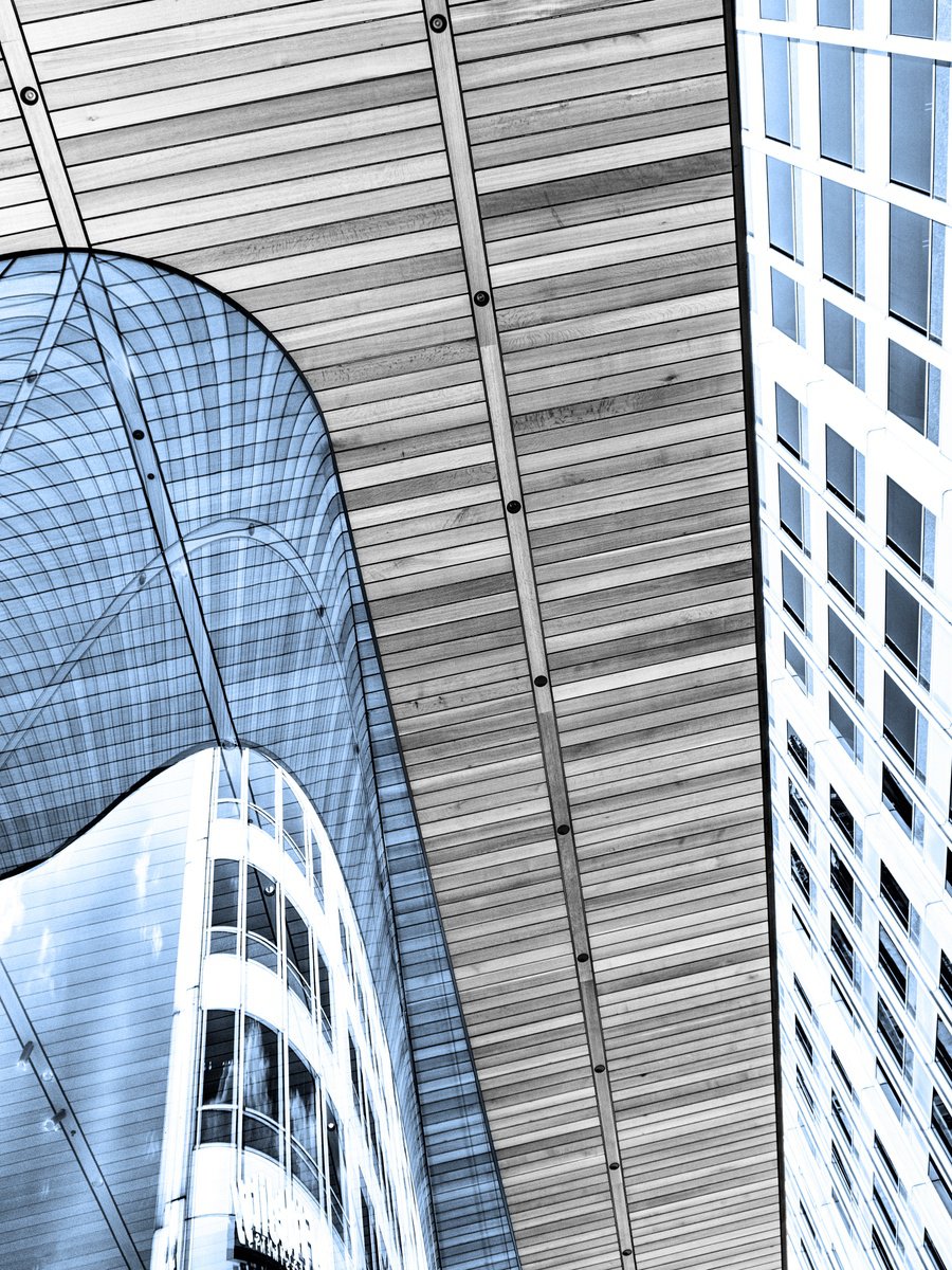 Cityscapes Photograph By William Dey, 25 X 32", The Roof Next Door, Original Artwork