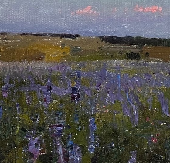 June field