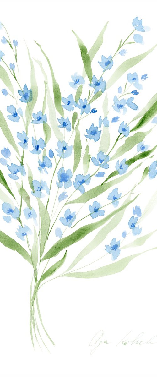 Forget-me-not watercolor by Olga Koelsch