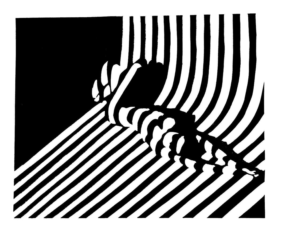 Photorealistic Portrait Linocut By Aneta Gajos, 17 X 14, Laziness, Original Artwork