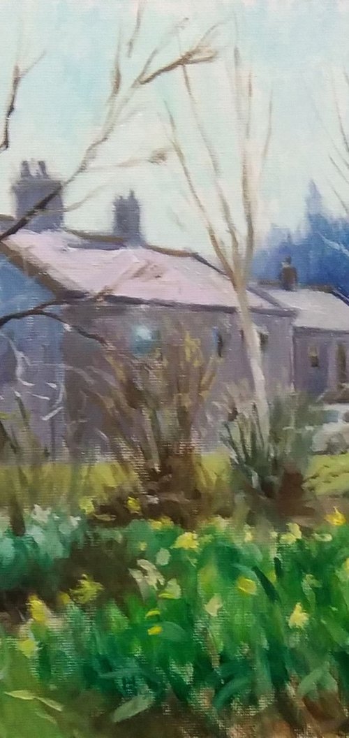 Cottages with Daffodils by Damian Gerard Bland