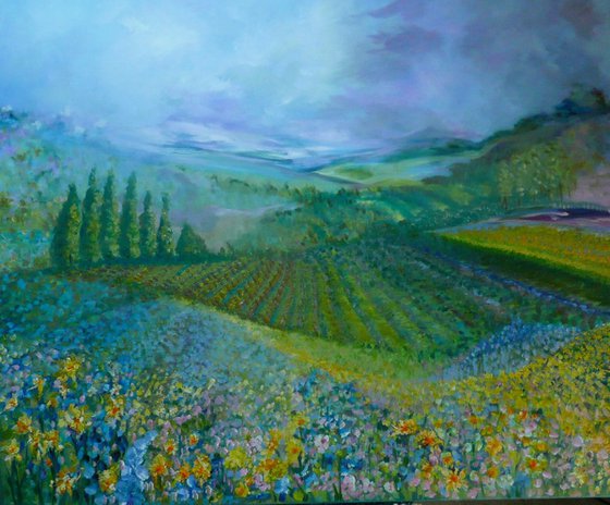 Lavender in Provence