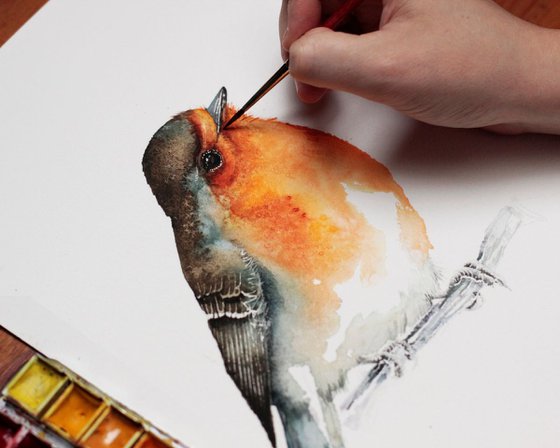 Robin 21x30cm, birds, wildlife and animals watercolours