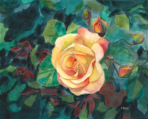 Yellow roses plant by Yue Zeng