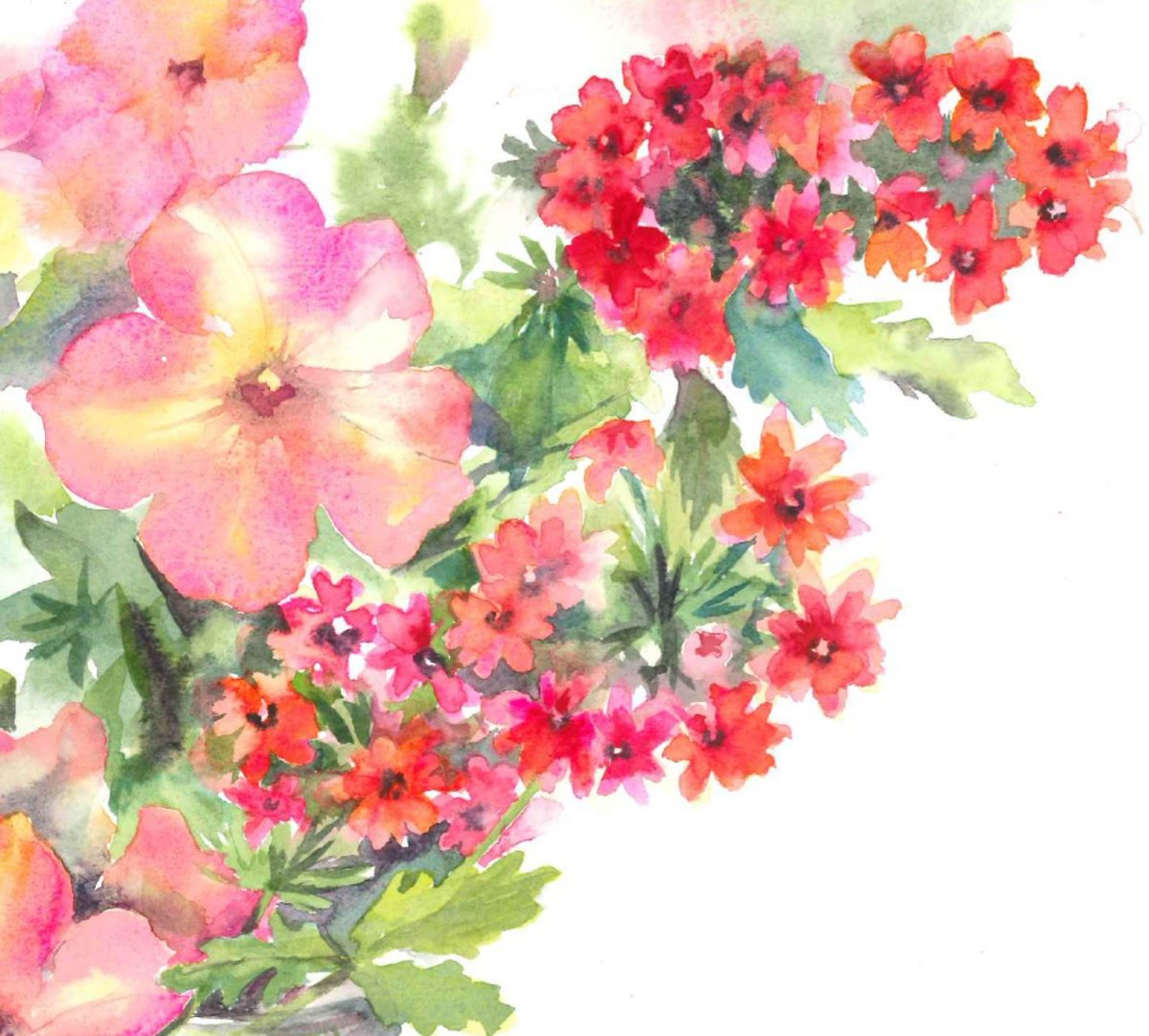 Impressionistic Watercolour , Petunia & Verbena By Anjana Cawdell, 17 X 12, Artwork For Sale On Artfinder