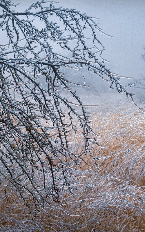 "Pictures from the crystal forest" • Scene 1 by Valerix