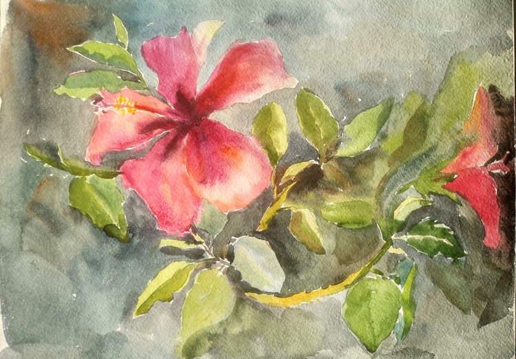 Hibiscus Flower Watercolour By Ann Krasikova Artfinder