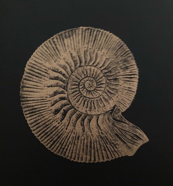 Sealife Linocuts (Black)