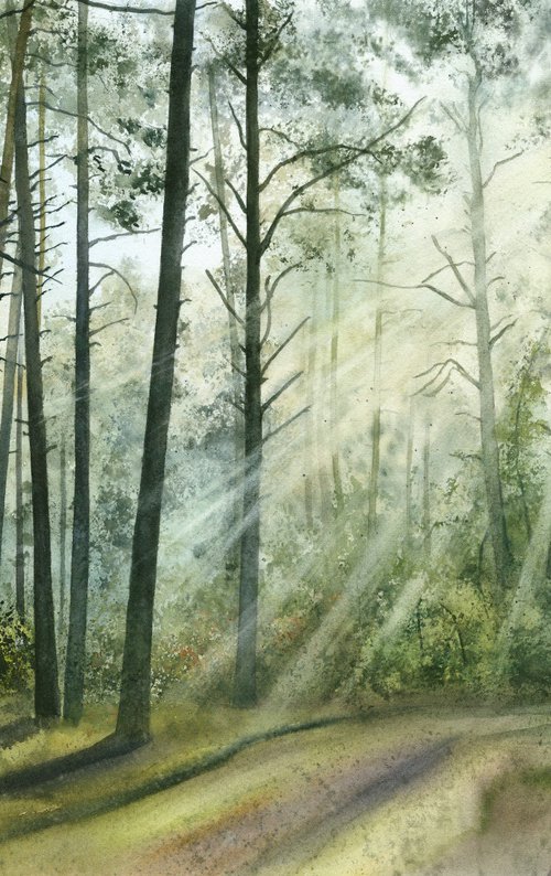 In the forest, 55x37 cm by Tetiana Koda