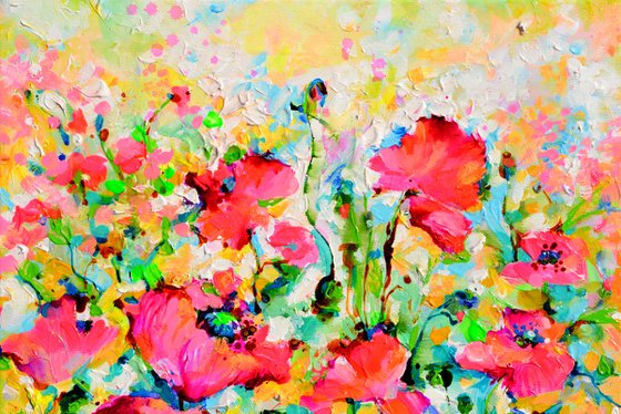 Red Opium Poppy Field