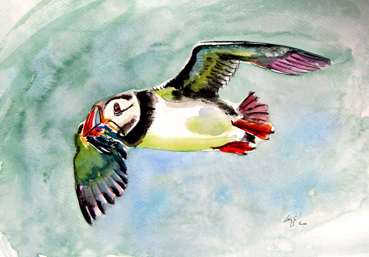 Impressionistic Animal Watercolour By Kovacs Anna Brigitta, 10 X 14", Flying Puffin, Original Artwork