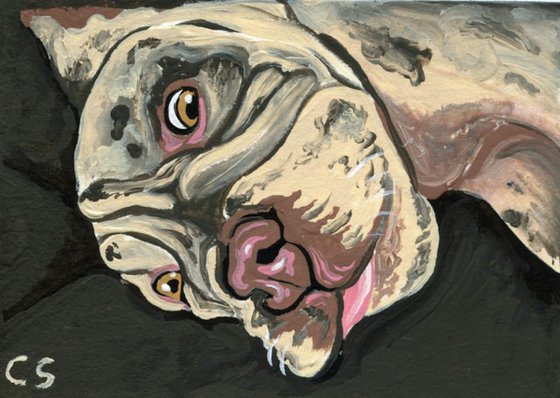 ACEO ATC Original Miniature Painting Olde English Bulldogge Pet Dog Art-Carla Smale