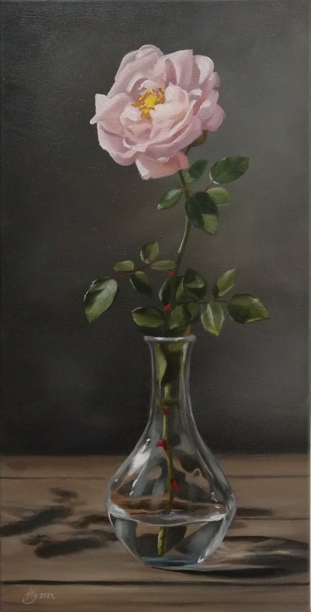A rose in the shade by Natalia Zhukova