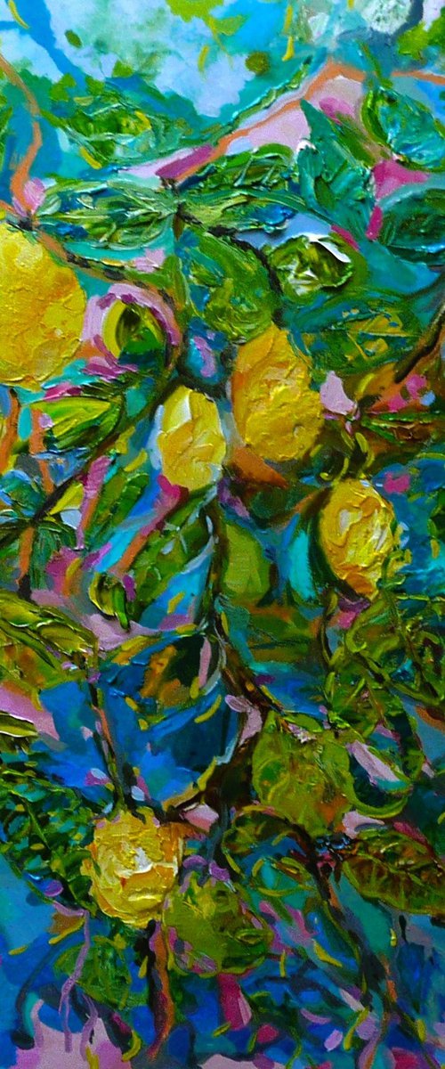 Sicilian Lemons 2024 by Lesley Blackburn