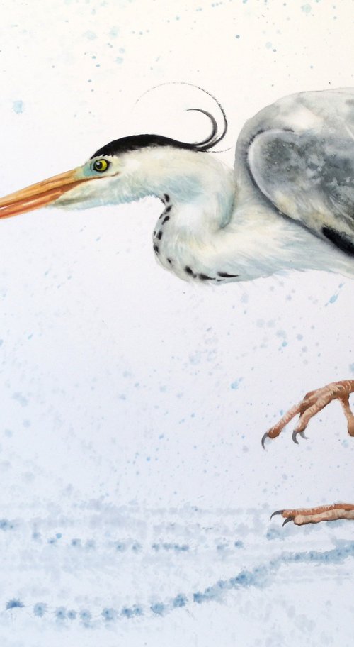 The Great Escape: Great Blue Heron and Goldfish - by Olga Beliaeva Watercolour