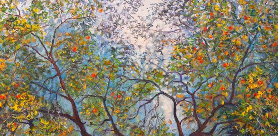 Apple Tree
