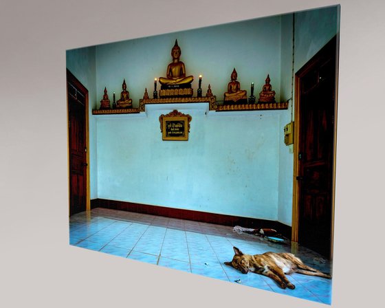 Temple Dogs of Laos No.7
