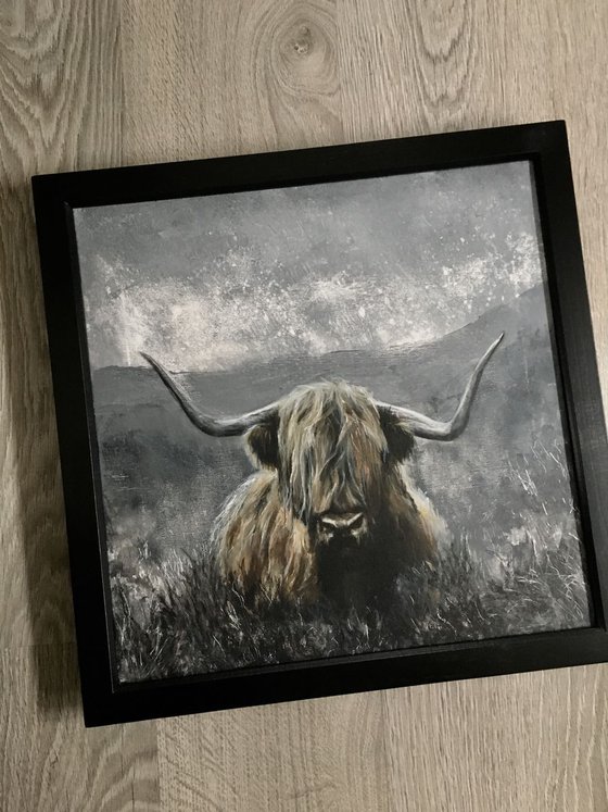 Highland cow art, Grey Highlands