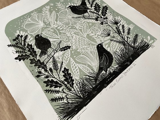 Three Curious Blackbirds III