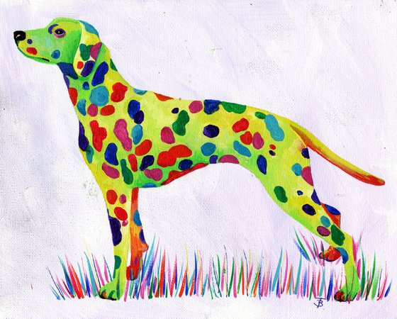 Rainbow Dalmation