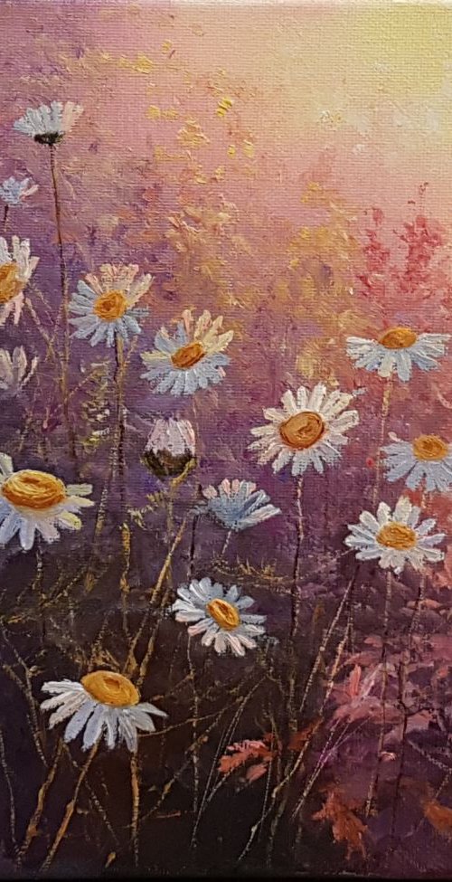 Morning glory by Diana Janson