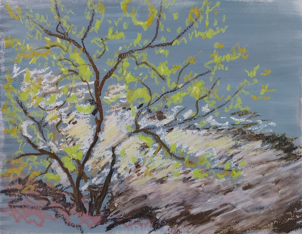 Impressionistic Landscape Pastel Drawing By Olena Kolotova, 13 X 9", "Sunbeam", 2024, Original Artwork