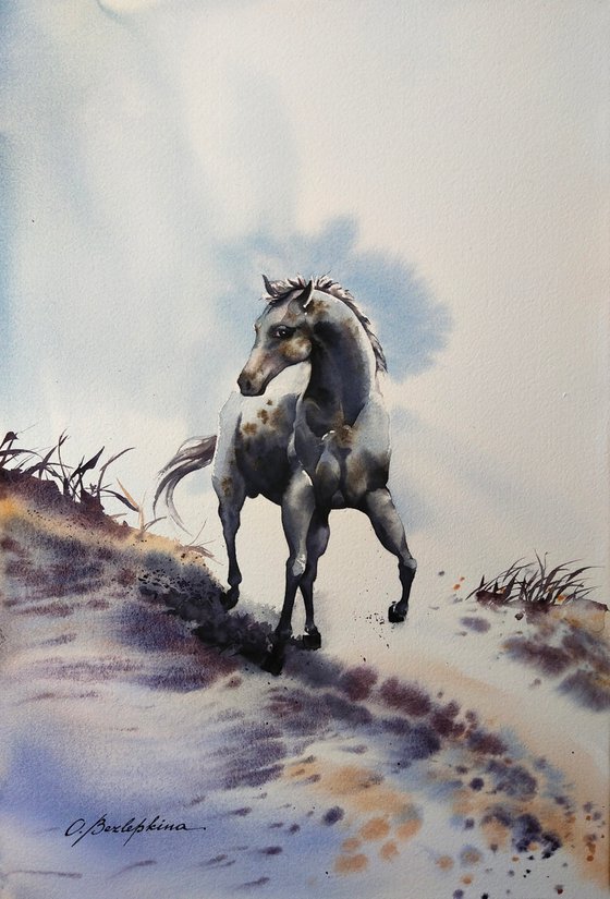 Magical creatures. Running through the clouds - wild horse in the clouds