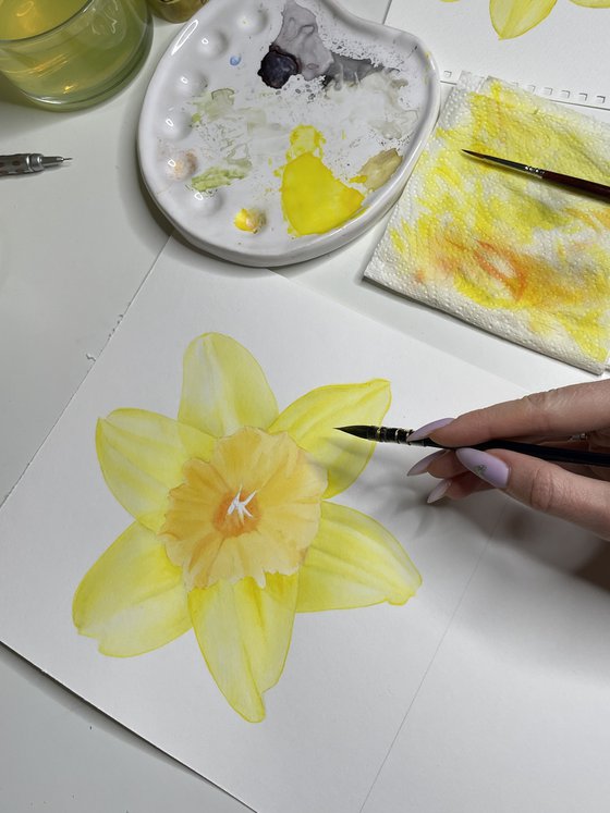 Yellow Narcissus Daffodil Fortissimo. Original Watercolor painting