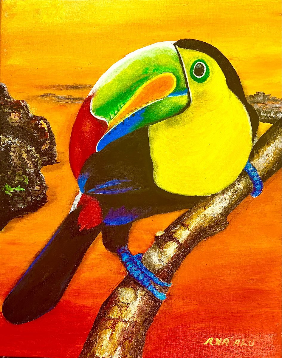 Morning Toucan by Andrew (Ana` Alu) Hollimon
