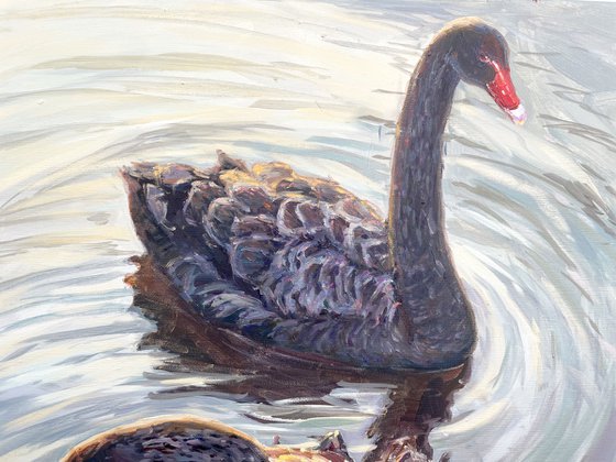 "Black swans"