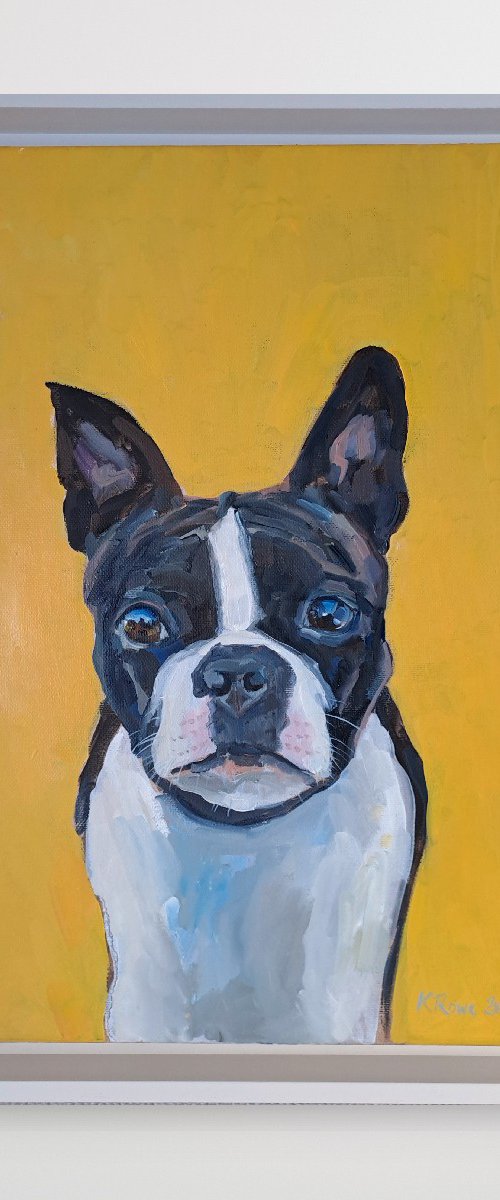 Didier the French bulldog by Katharine Rowe