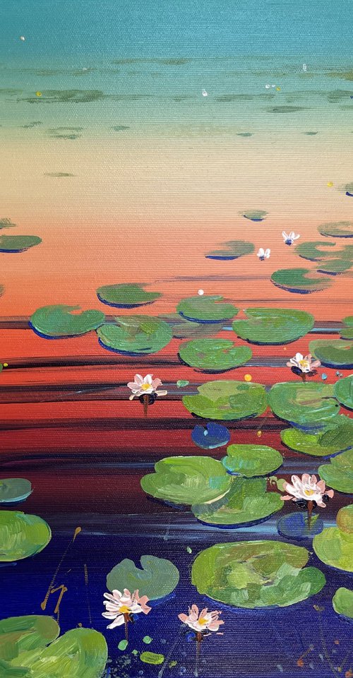 Water lilies. Sunrise and sunset by Yevheniia Salamatina