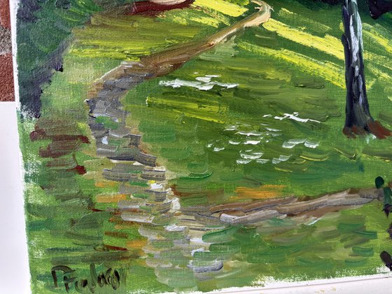 Evening Light on the Birch Tree