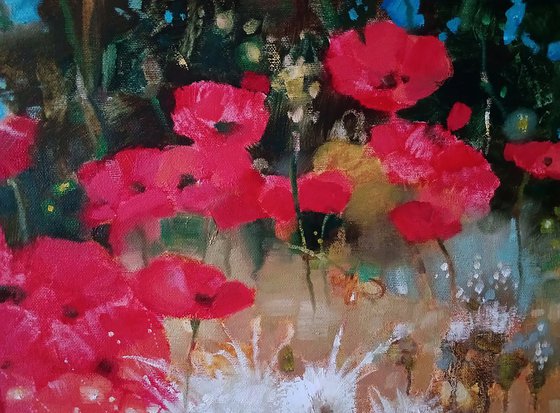 Poppies in the Field