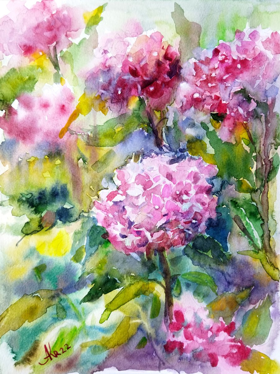 Pink Hydrangeas Art 9 by 12 inches by Ann Krasikova