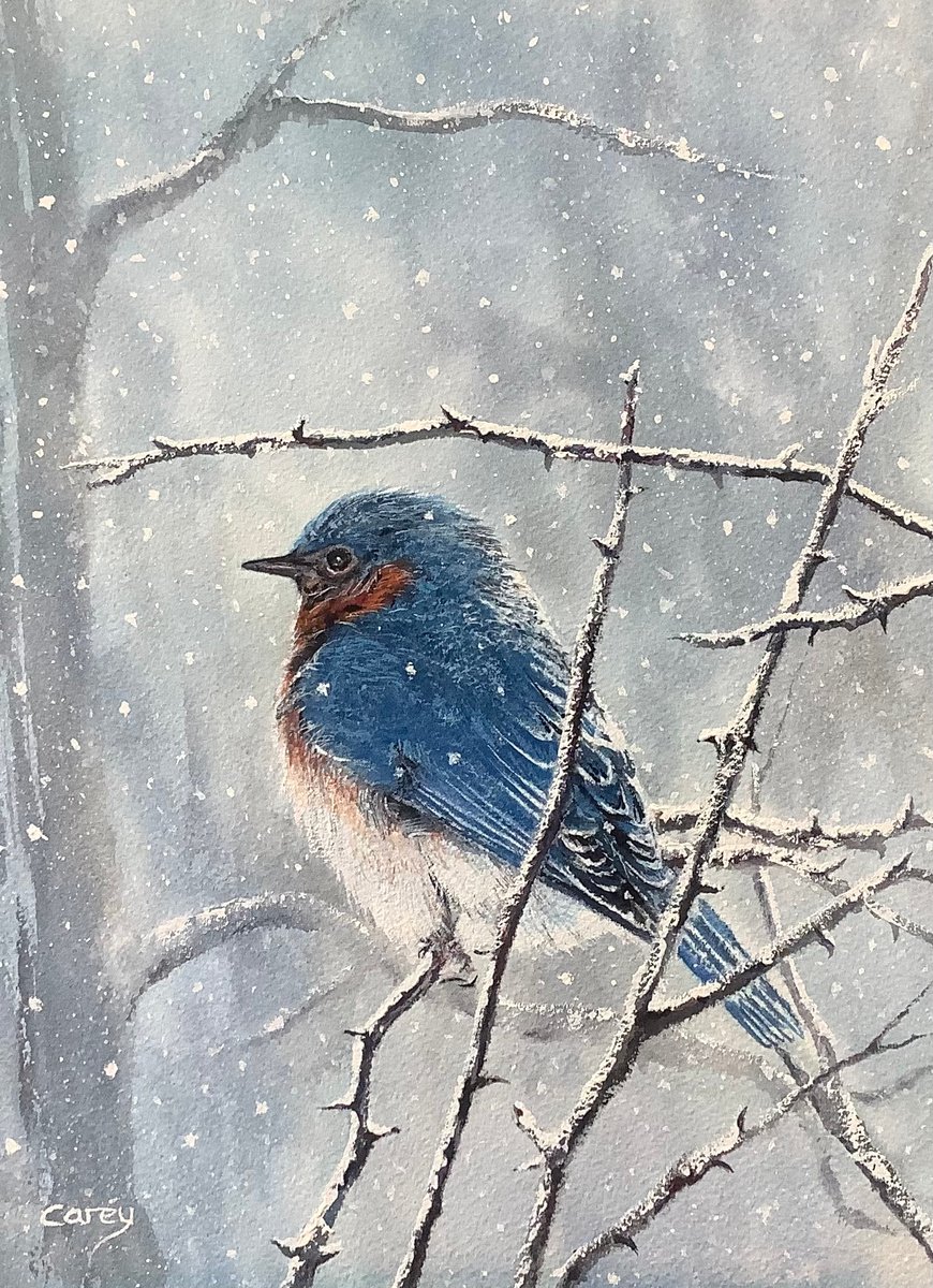 Bluebird by Darren Carey