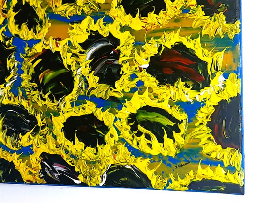 Blooming sunflowers 7