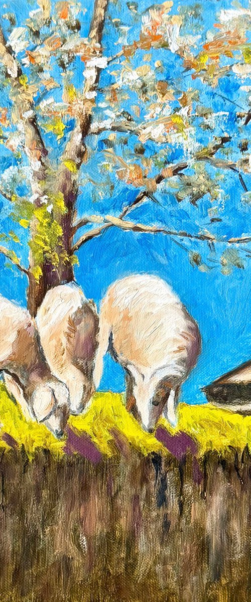 Sheep grazing under a tree by Uma  Krishnamoorthy