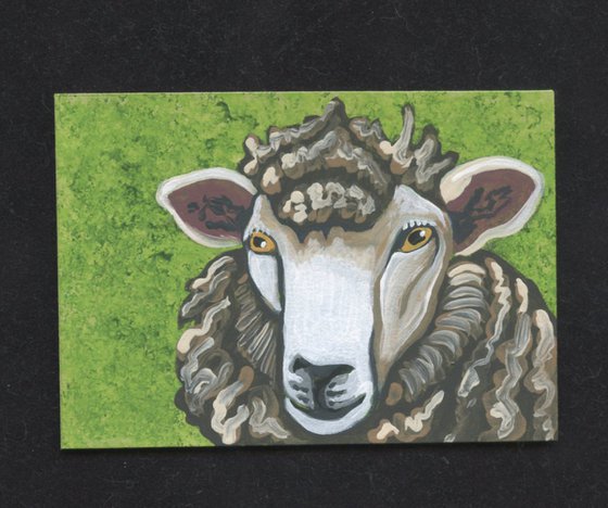 ACEO ATC Original Miniature Painting Brown Sheep Farmyard Art-Carla Smale