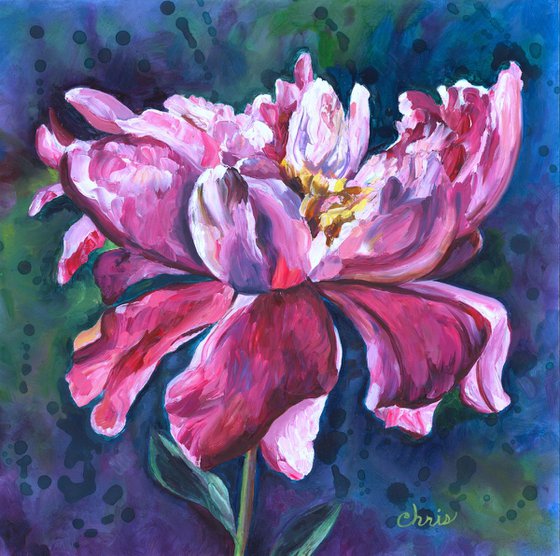 "Lady Orchid" Peony