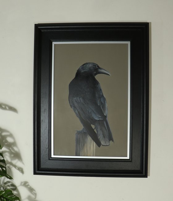 Crow, Portrait of a Black Crows, Oil Painting, Bird Artwork, Animal Art Original, Not Print