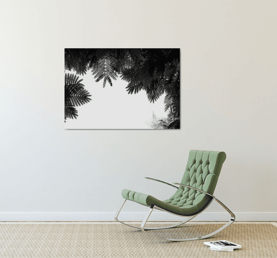 The Tree Top II | Limited Edition Fine Art Print 1 of 10 | 90 x 60 cm