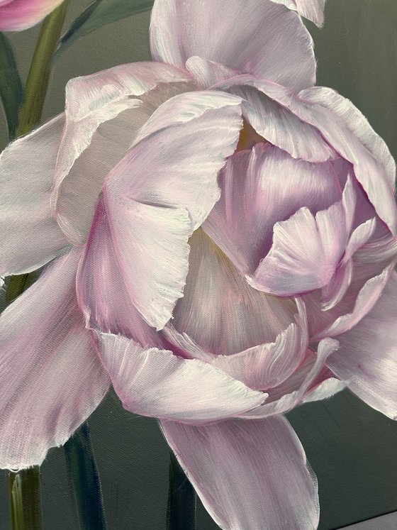 The tenderness of peonies