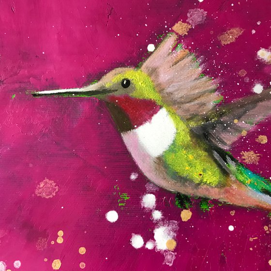 Hummingbird ~ on Magenta